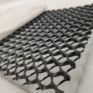 Geocomposite Drainage GEONET Composite Drain Net with CE/ISO9001/ISO14001