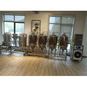 China Visualization Operation PLC Control Micro Home Brewery Equipment on sale