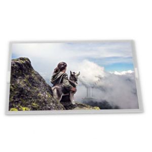 N080ICE-GB0 Rev.A1 8inch TFT LCD Display Modules supplier lcd panel Rectangular