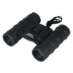 China High Powered 21mm Roof Prism Binoculars Folding Fully Coated Lenses on sale