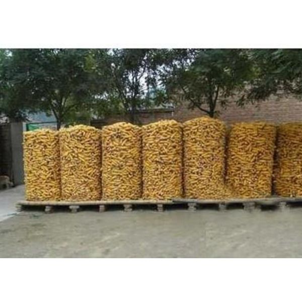 Construction 2 X 2 Welded Wire Mesh Panels Security For Commercial Grounds