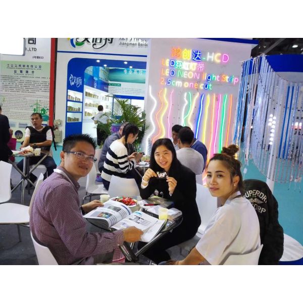 10W/M LED Silicone Neon Strips Fire Resistant Anti Cracking LED Neon Rope Tube