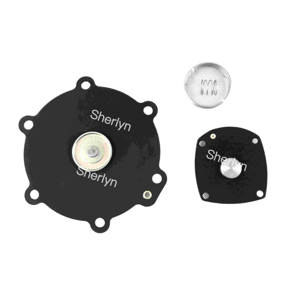 M50 Diaphragm Repair Kit Turbo 2" DN50 FP55 FM55 SQP50 SQM60