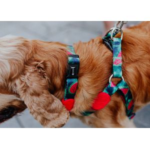 Polyester Watermelon Dog Harness For Freedom Walker Front Walking