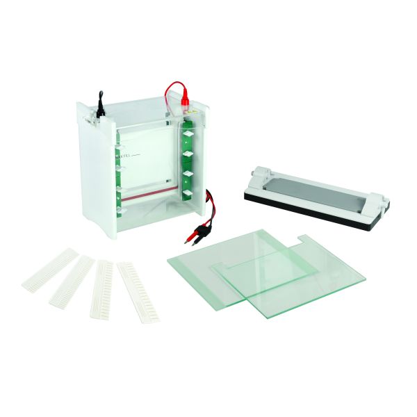 Buy Vertical Protein Gel Electrophoresis Apparatus Mini-protean Electrophoresis Cell Jy-scz6+ at wholesale prices