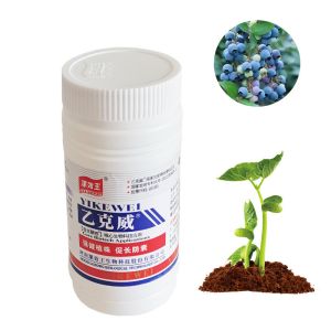Quality Agricultural Organic Humic Acid Fertilizer Promote Nutrient Assimilation for sale