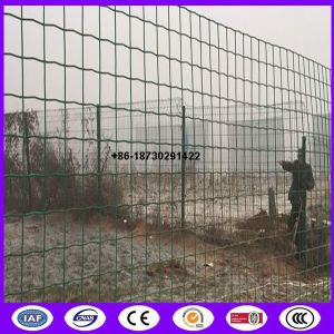 China ready stock 60x60 mm euro fence mesh Pvc coating made in china