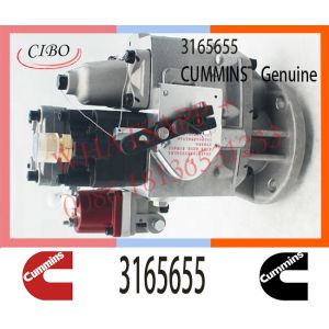 3165655 Diesel Pump for Cum-mins KTA19 M11-C300 Engine PT Fuel Injector 3165655