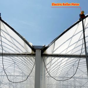 24x40m Galvanized Steel Greenhouse with 150micron PE Film