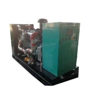 1500/1800rpm Speed 20kw Silent LNG CNG Electric Natural Gas Engine Power