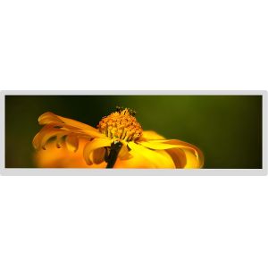 28" Bar Type LCD Display 1920x360 IPS TFT Lvds Interface