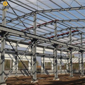 Custom Steel Frame Building for Commercial Warehousing