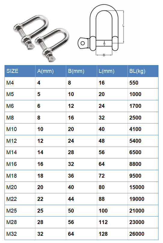 European Type Stainless Steel 304/316 Screw Pin D Shackle for Heavy Duty Applications