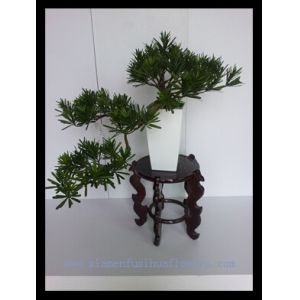 Quality Artificial Pine Bonsai for sale