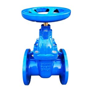 DN50 PN10 No Rise Stem Manual Gate Valve Ductile Iron Cast Steel Stainless Steel