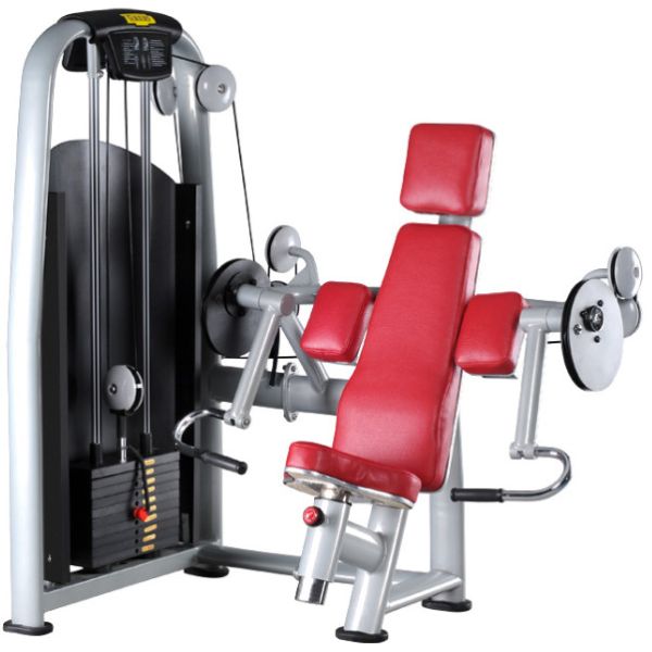 Buy Seated Biceps Machine at wholesale prices