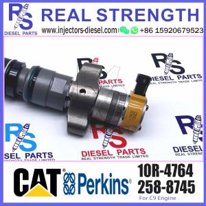 High Quality Common Rail Fuel Injector 245-3516 10R-4764 for Engine C9