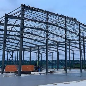 Customizable Steel Warehouse Solutions with Diverse Paint Options