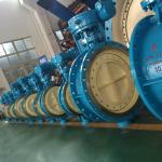 DN700 Industrial Butterfly Valve , WCB Double Eccentric Butterfly Valve PN10