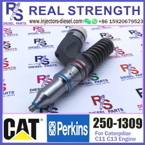 250-1309 Diesel Engine Fuel Injector 250-1309 294-3002 10R-3258 10R-6162 for