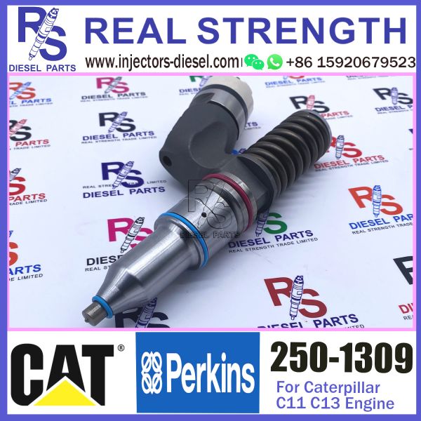 Buy 250-1309 Diesel Engine Fuel Injector 250-1309 294-3002 10R-3258 10R-6162 for Caterpillar C11 C13 engine at wholesale prices
