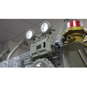 China Ceiling Mounted Explosion-proof Emergency Lamp with Ex e IIC T6/ Ex tD A21 T80C and Mounting Option on sale