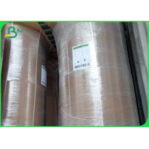 Ecological Bamboo Kraft Paper Roll 50GSM - 250GSM