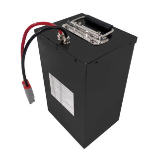LiFePO4 Lithium Battery Packs Custom 24V 36V 48V 60V 30AH 40AH 60AH 80AH For E