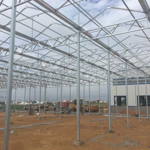 Commercial Polycarbonate Greenhouse for Versatile Vegetable Fruit and Flower