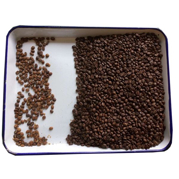 Wenyao Automatic Color Sorter Coffee Bean Color Sorting Machine