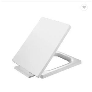 Rectangular Slow-Close Plastic Toilet Seat Cover With Strength Fixing And Soft