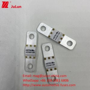 Quality 60A 125VDC 8KA Electrical Energy Storage Car Ceramic Automotive Fuses for sale