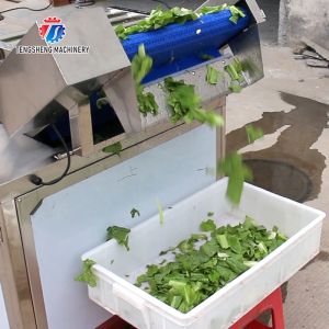 Automatic Vegetable And Fruit Production Line Selection Cutting And Washing