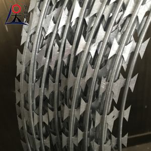 Anti Climb Razor Wire Galvanized Concertina Razor Blade Barbed Wire