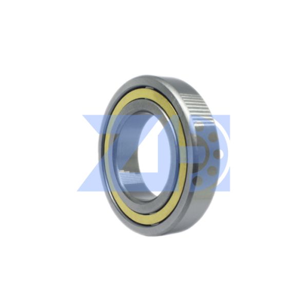 Cylindrical Roller Bearing NJ2208 Size 40x80x23 40*80*23 Mm NJ 2208 E M EM