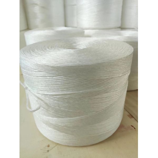 Buy 1000m/kg 1200m/kg White Polypropylene PP Tomato Grow Tying Strong Twine for Field or Greenhouse Use at wholesale prices