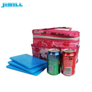 Portable HDPE Plastic Reusable Ultra Thin Ice Pack Cooler Cold Packs For Cooler