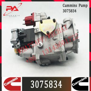 Cummins KTA50 Engine Parts Injection Fuel Pump 3075834 3059657 3060947