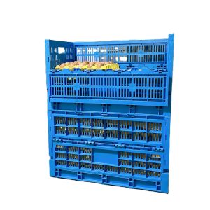 China Chicken Transport and Egg Storage Collapsible Plastic Crate with Storange Function on sale China Chicken Transport and Egg Storage Collapsible Plastic Crate with Storange Function on sale