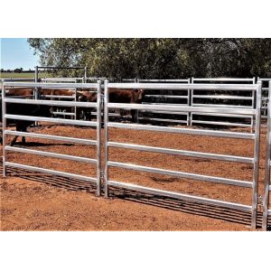 Rot Proof Heavy Duty Cattle Panel 40x40mm Square Galvanized Tube Livestock
