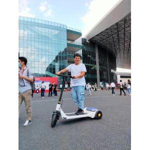 Quality cycling Fitness 250W Personal Electric Scoot E Bike for sale