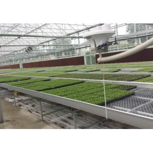 Hydroponic Trays Greenhouse Benches Ebb And Flow Rolling Benches 3mm