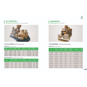 Direct Supply 190 Series 500GF-Tk1 Gas Generator with Online Services After