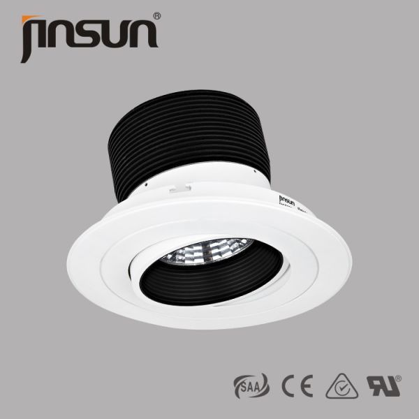 Buy High Power 60W Warm White Citizen Chip Of Led Downlight at wholesale prices