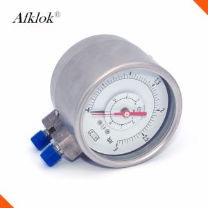 Stainless Steel Gas Pressure Test Gauge Double Needle Double Pipe Structure