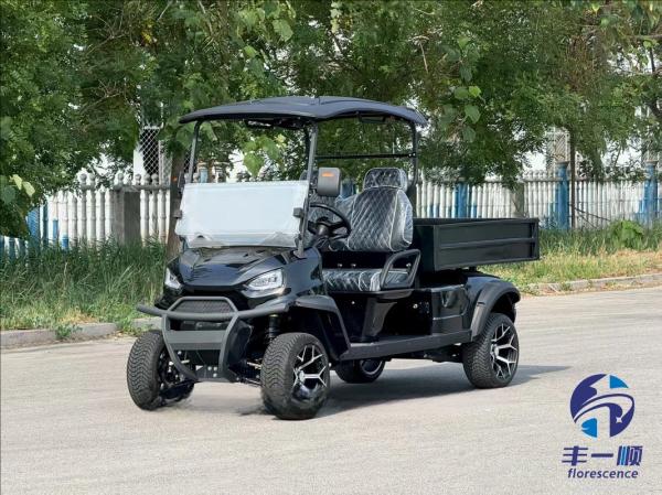 Buy Electric 2 Seat Golf Cart with Cargo Box at wholesale prices