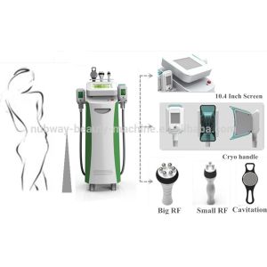 cryolipolysis weight loss cryotherapy multifunctional 3 technology in one for