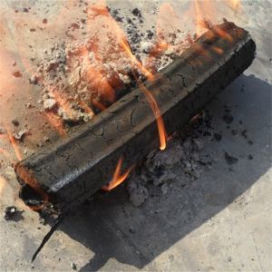 Bagasse Charcoal Making Machine Sawdust Pressing Machine 50mm Dia