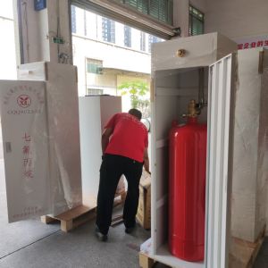 Quality FM-200 Cabinet Automatic Suppression System For Class A, B, C &amp; E Fires for sale