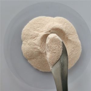 Wholesale Carica Papaya Fruit Juice Powder/Carica Papaya